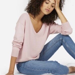 Everlane Cotton V-Neck Sweater